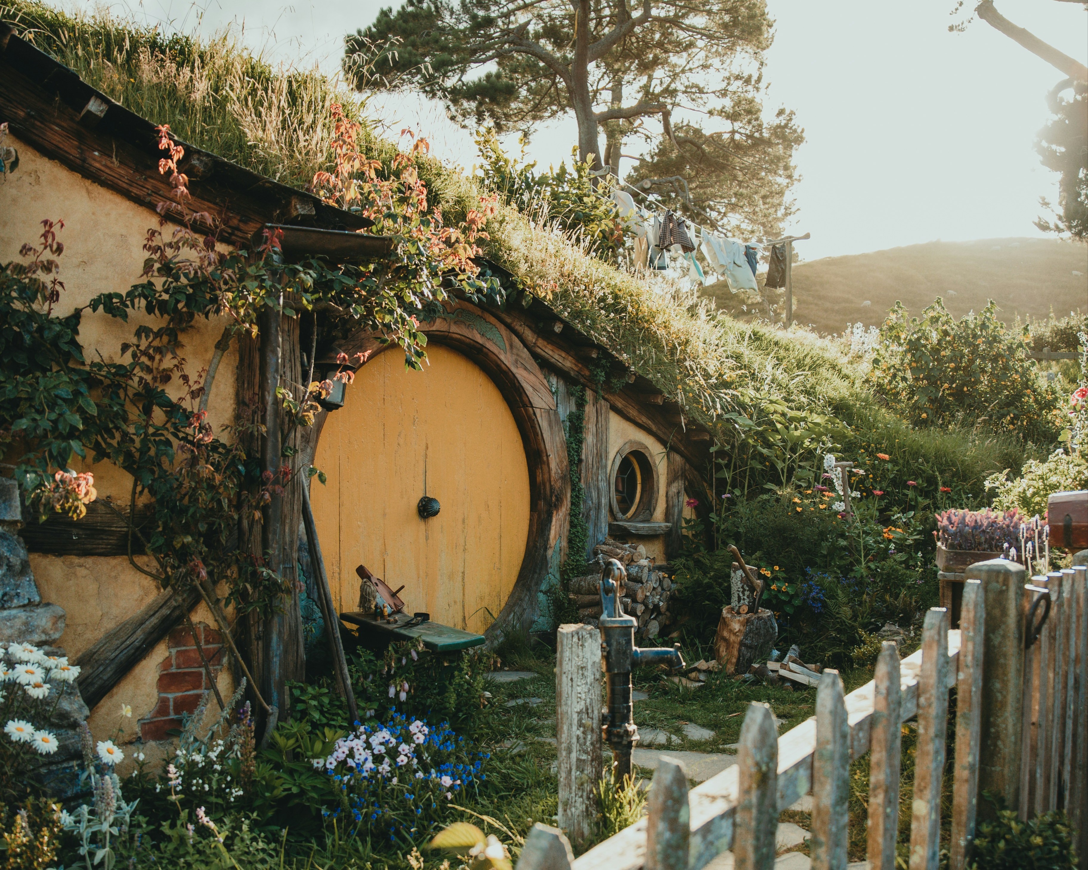The Fellowship Journey