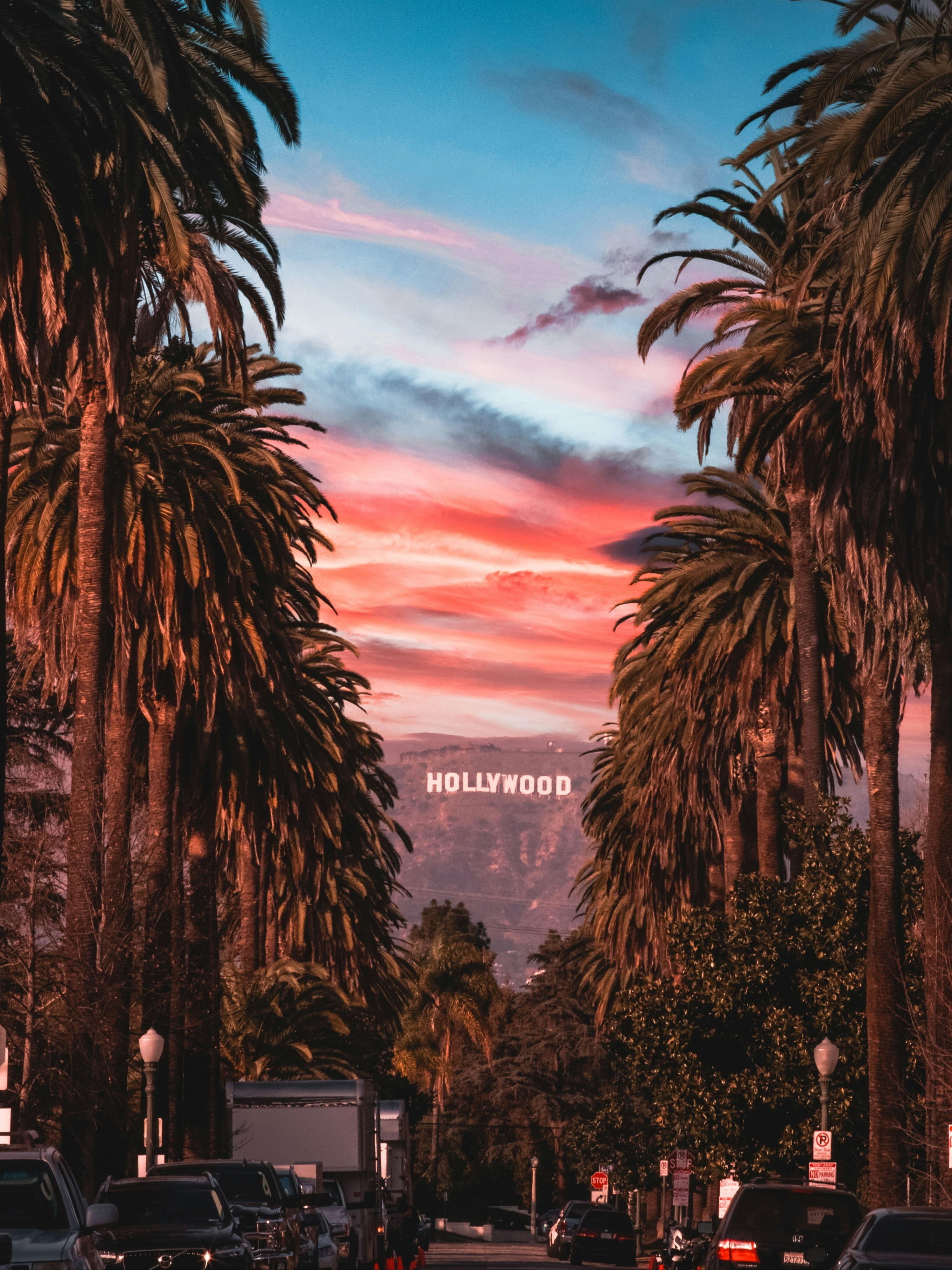 The Hollywood Trail